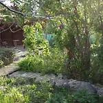 In Peetzig Am *