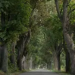 In Peetzig Am