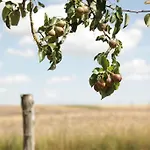 In Peetzig Am Angermunde