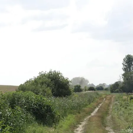 In Peetzig Am