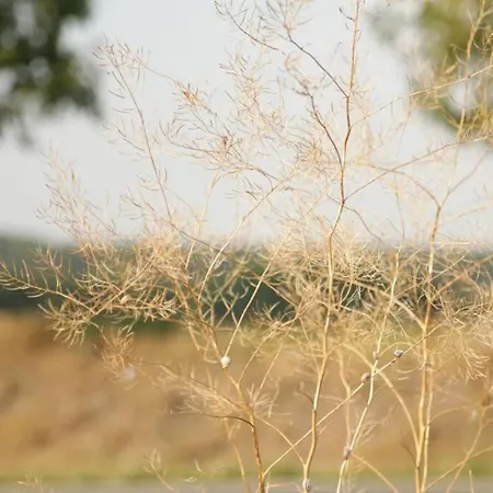 In Peetzig Am Angermunde