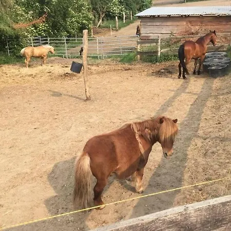 In Peetzig Am * Angermunde