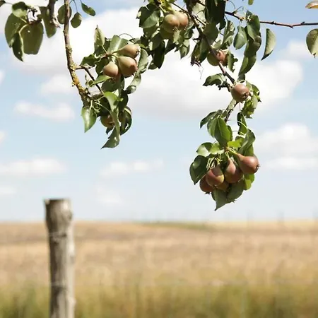 In Peetzig Am Angermunde