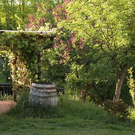 In Peetzig Am Apartament Angermunde