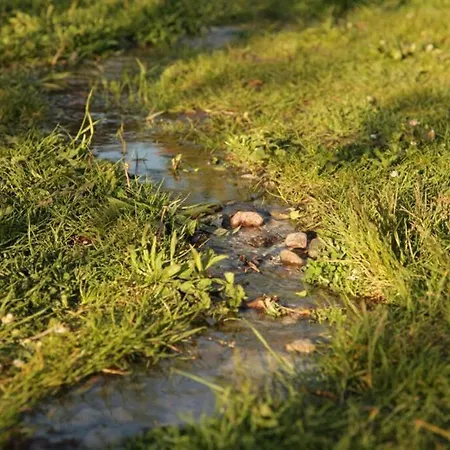 Apartament In Peetzig Am