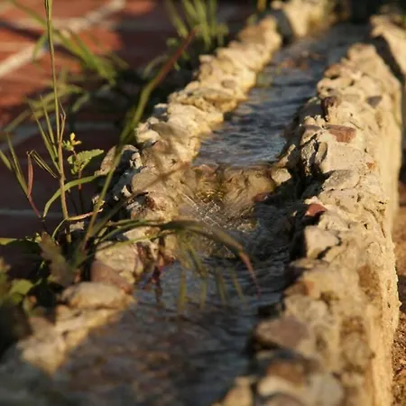 In Peetzig Am Angermunde