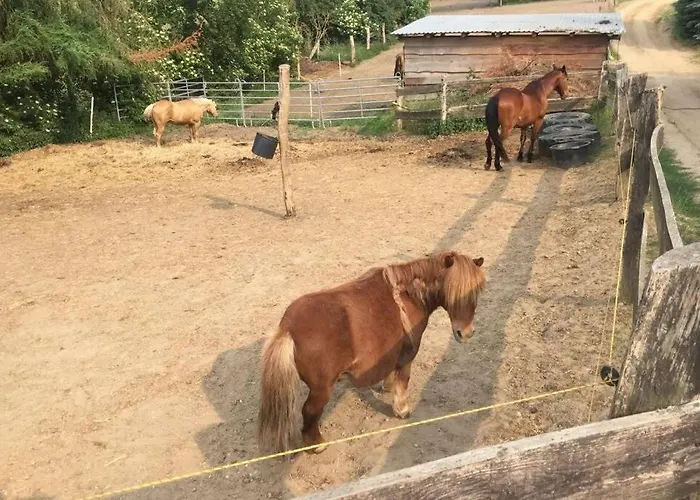In Peetzig Am * Angermunde