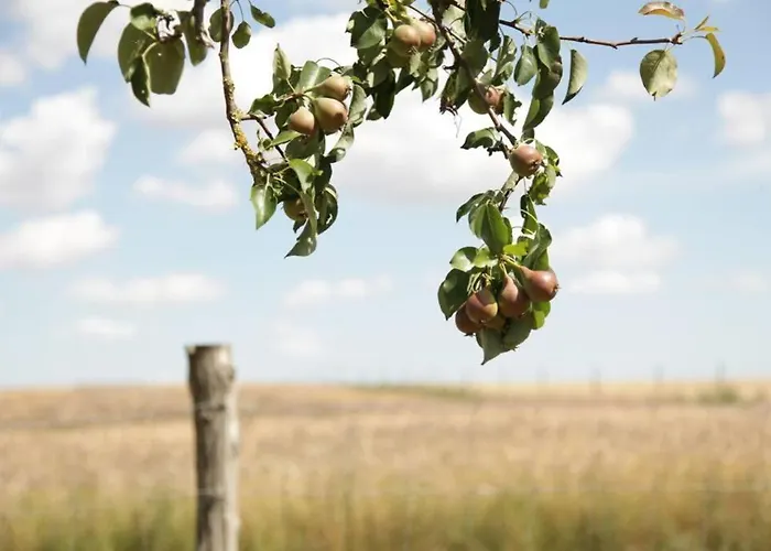 In Peetzig Am Angermunde